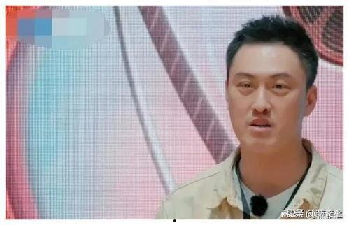 娱乐圈吃瓜爆料广告,揭秘明星幕后那些事!