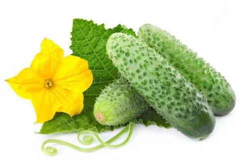 保定娱乐圈吃瓜系统